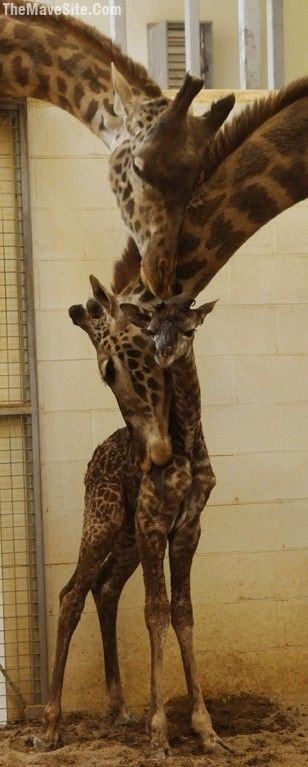 GroupHug.jpg