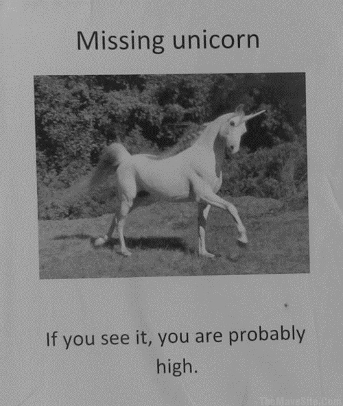 MissingUnicorn.jpg