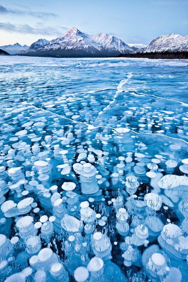 FrozenBubbles.jpg