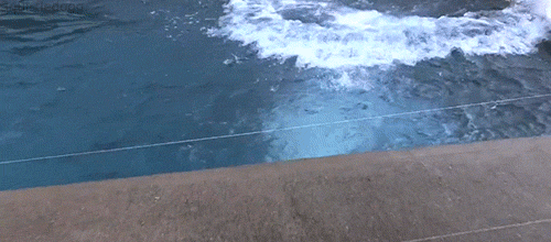 1 (8).gif