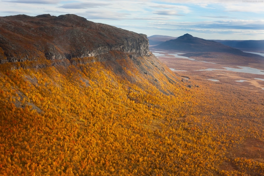 YellowTreesClimbingUpAPlateau850.jpg