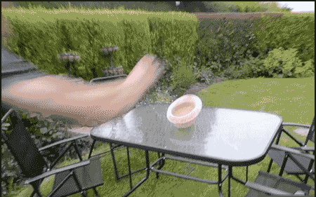 1 (1).gif