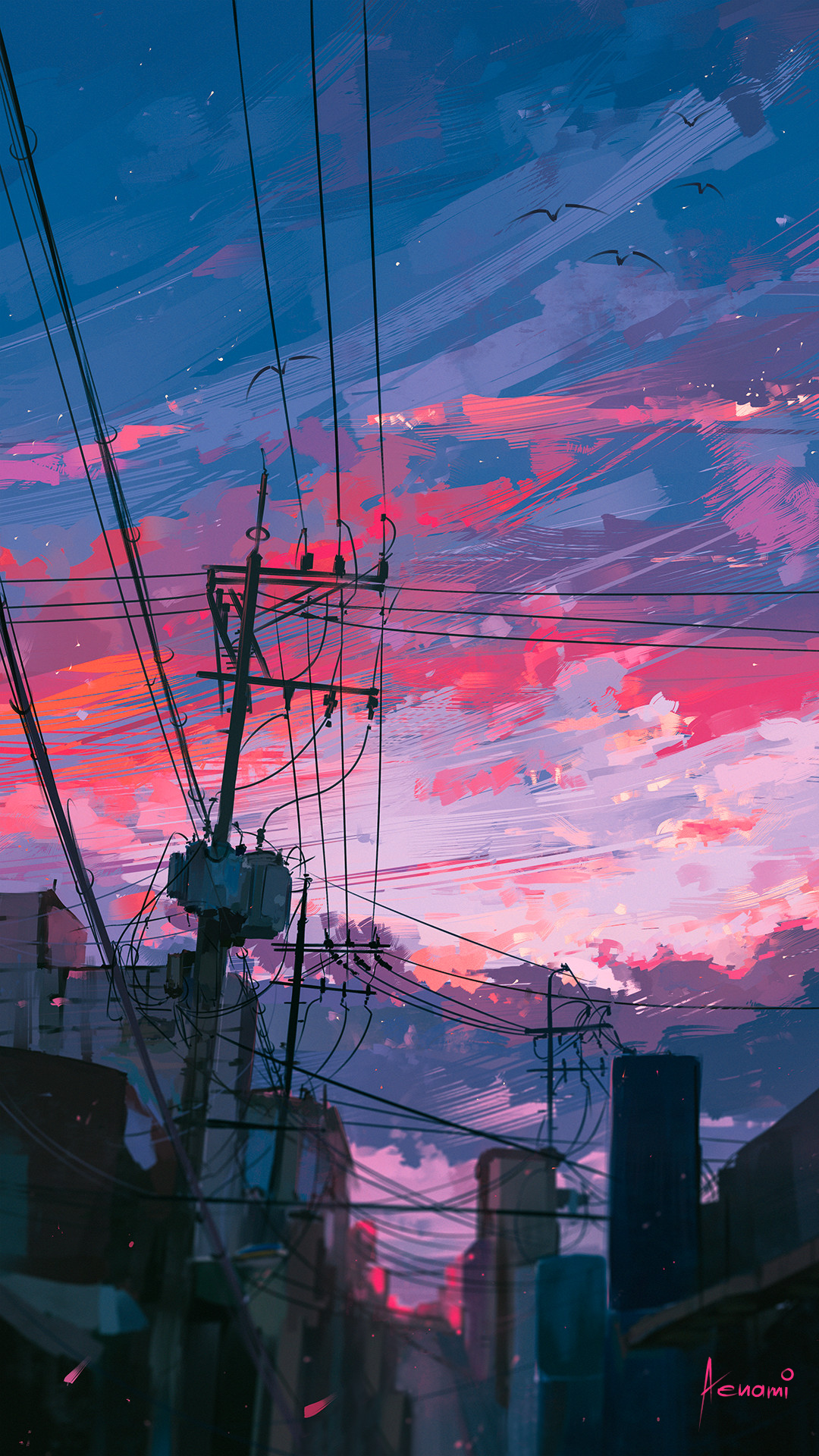 DSI4C5W.png