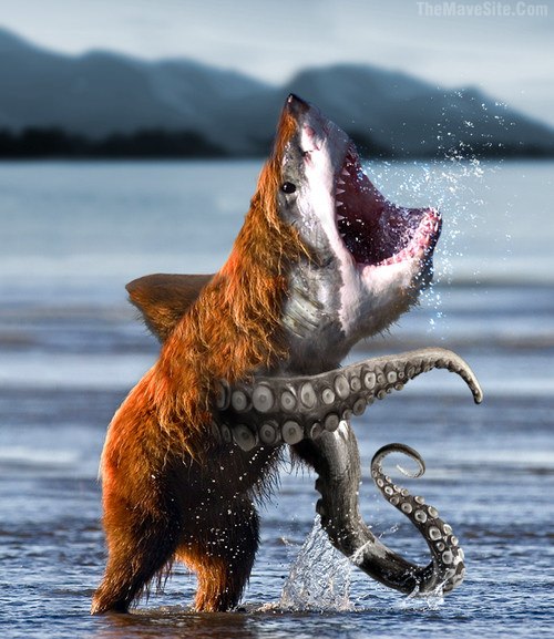 Octobearshark.jpg