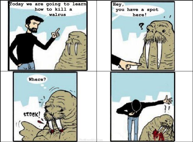 HowToKillAWalrus.jpg
