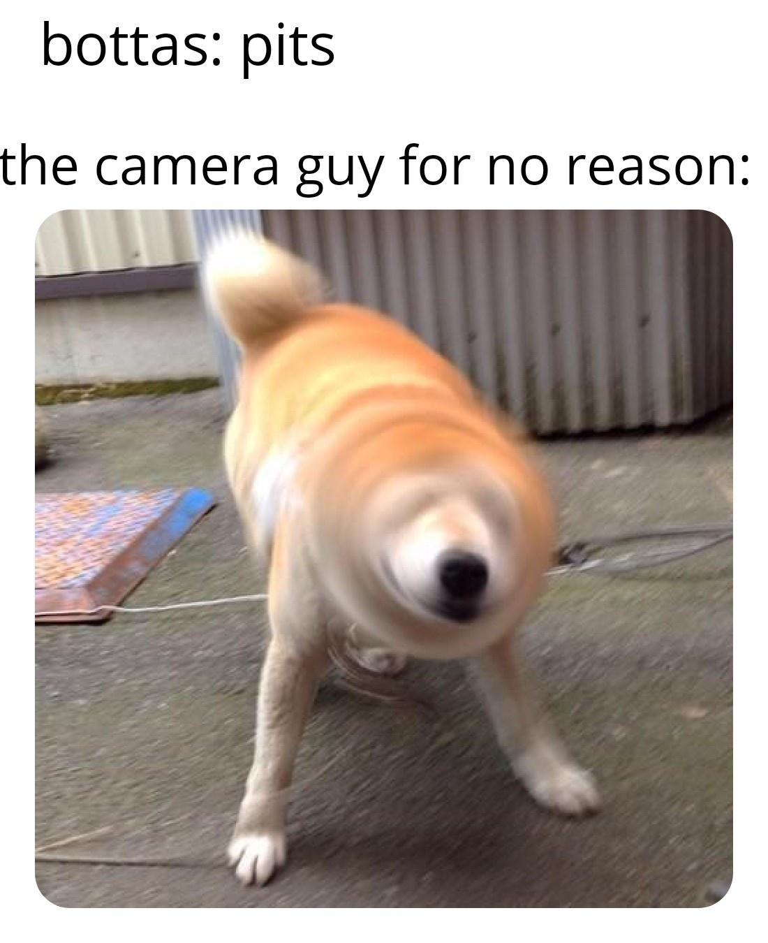 wYqkQUk.jpeg