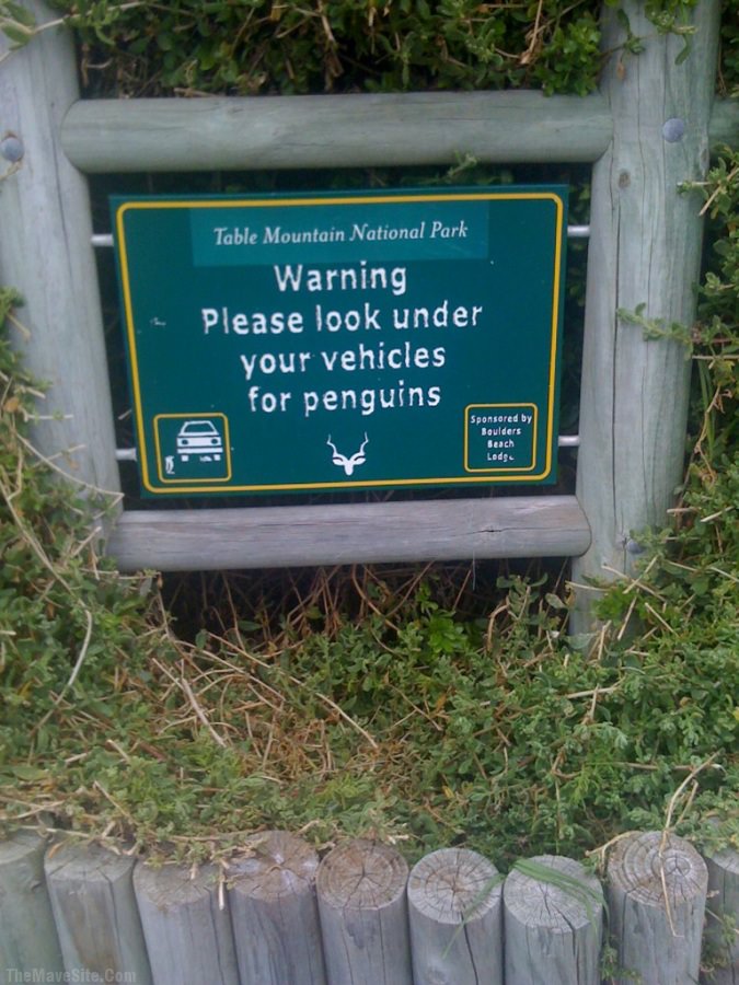 Warning.jpg