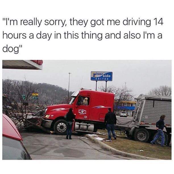 kqhB6aZ.jpg