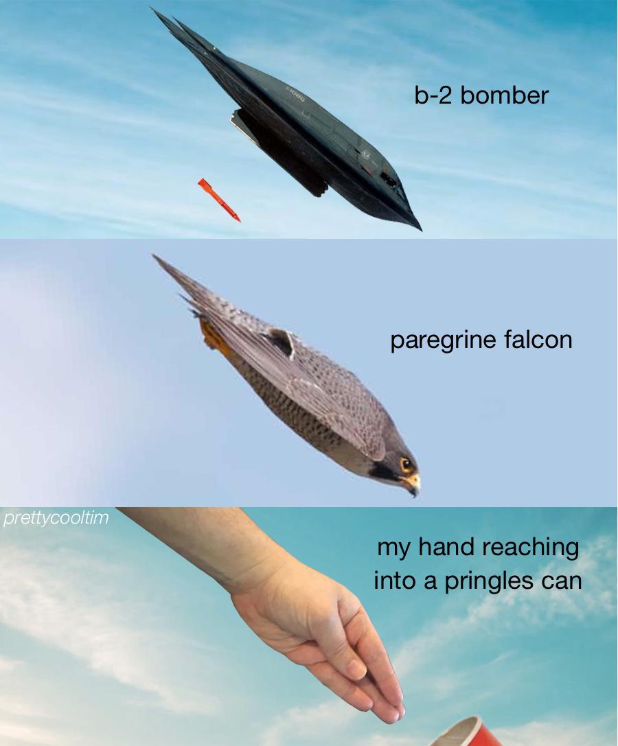 aOKsGnF.jpeg