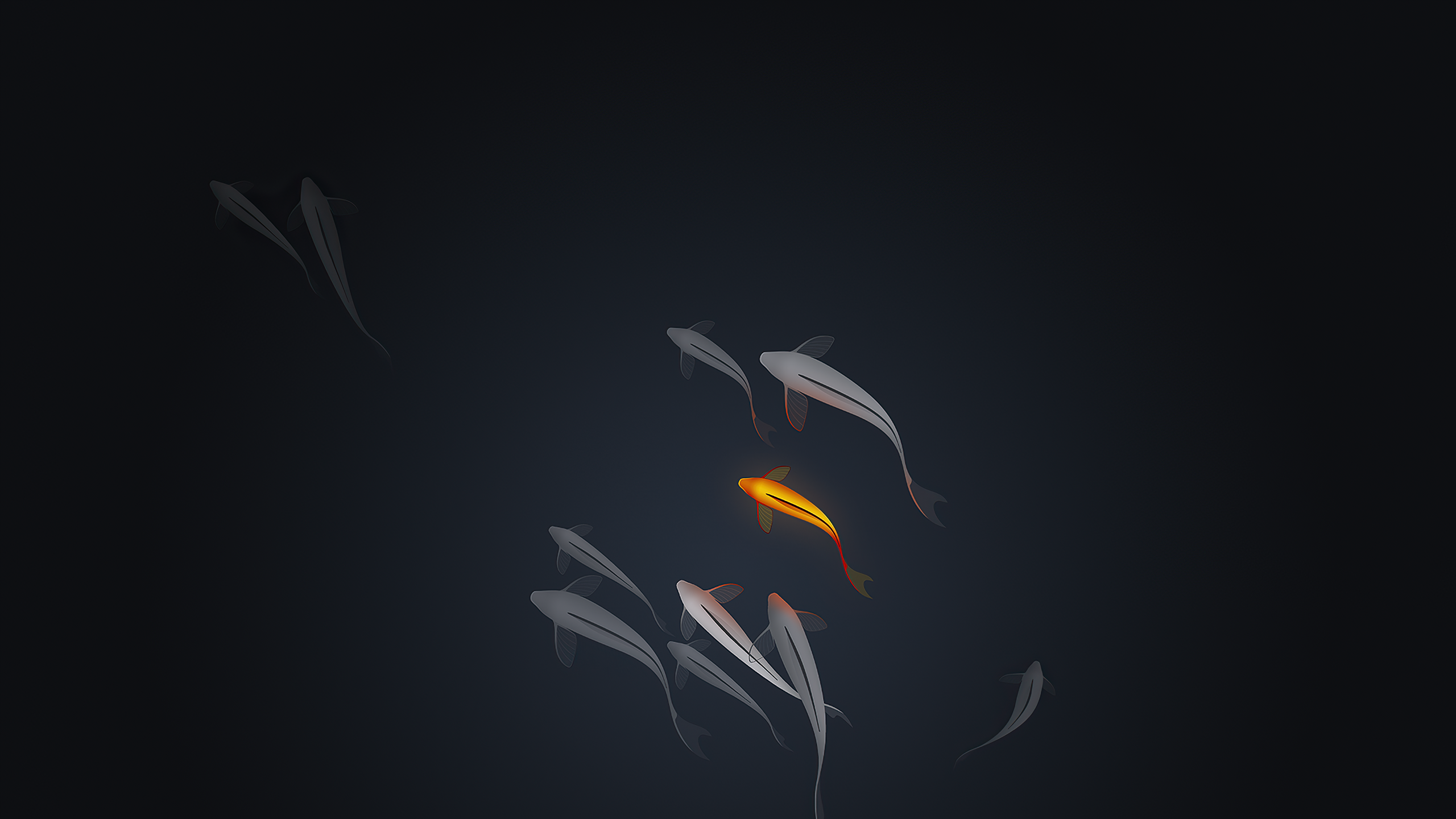 SN9fZjV.png