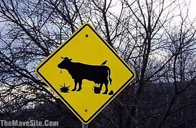 FunnyStreetSigns%20(18).jpg