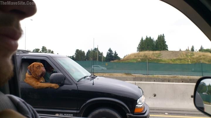 SawThisCoolGuyOnTheHighway.jpg