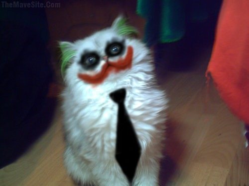It%27sSimpleWeKillTheBatdog..jpg