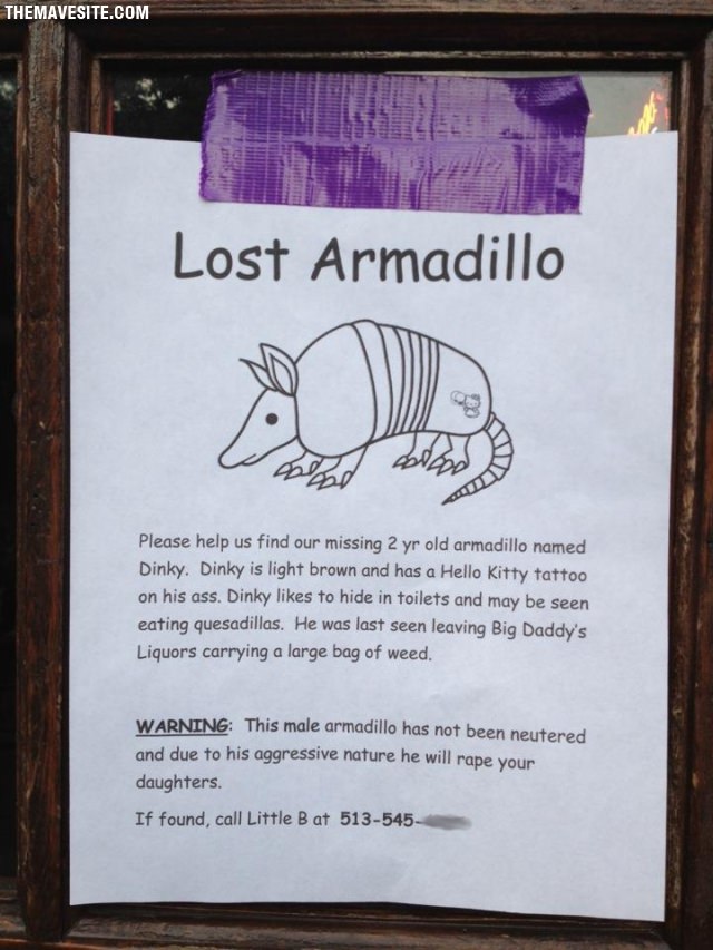 LostArmadilllo.jpg