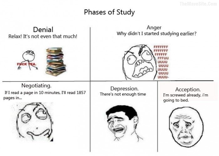 PhasesOfStudy.jpg