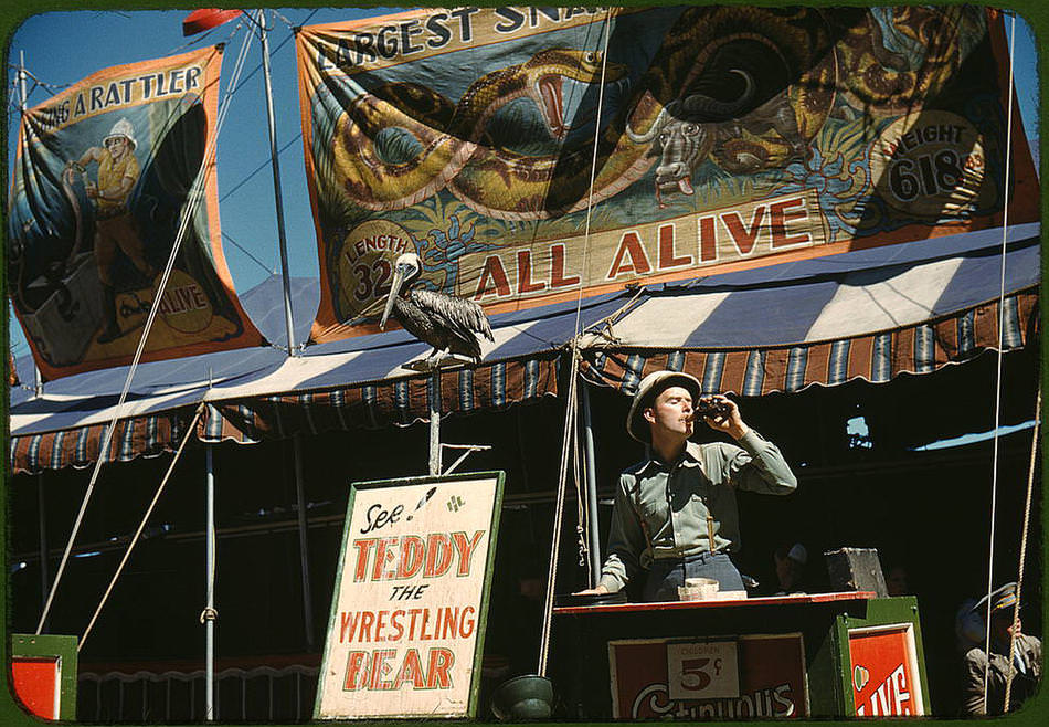 color010.jpg