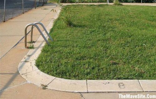 GrassPool.jpg