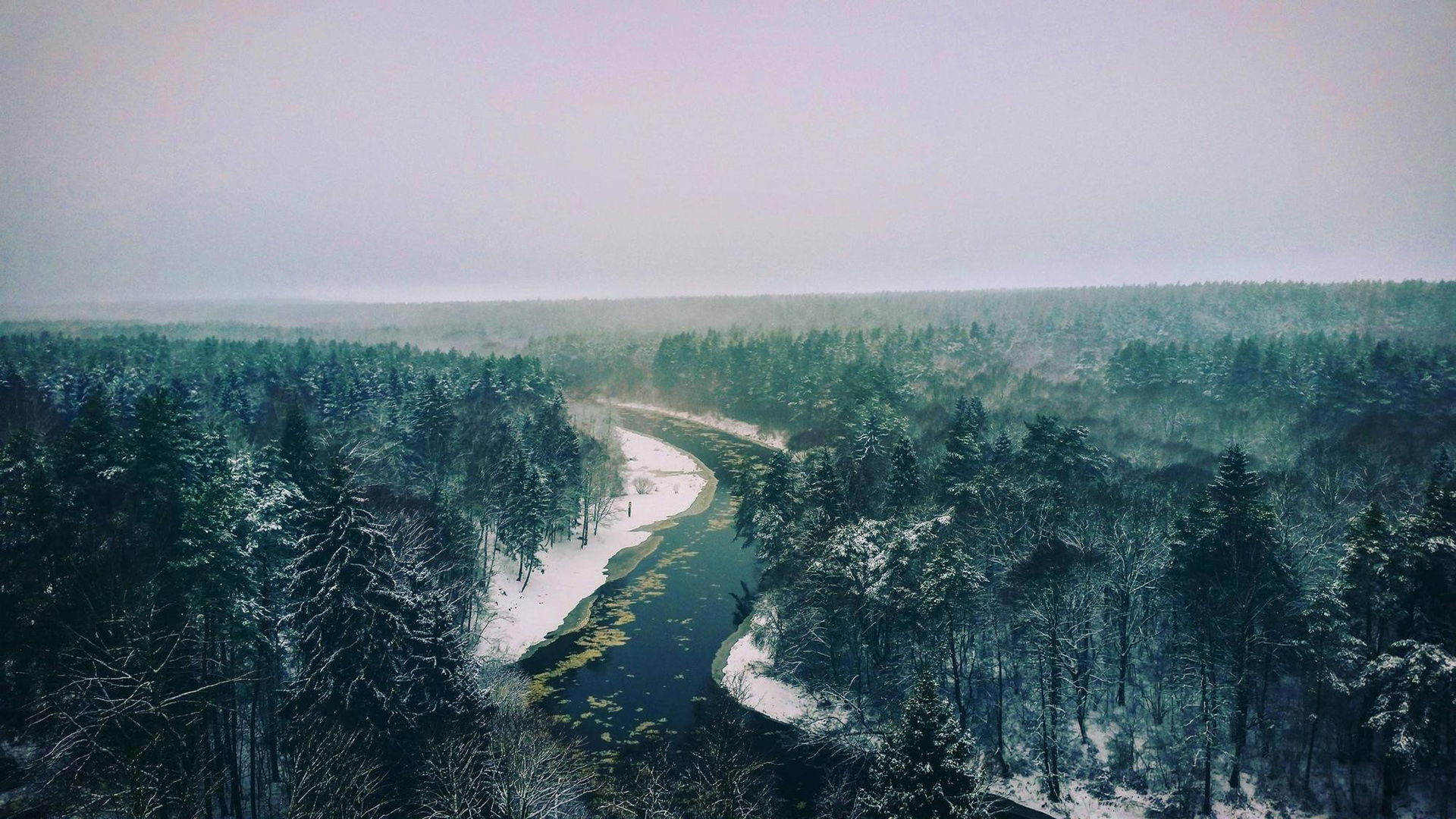 udroByV.jpg