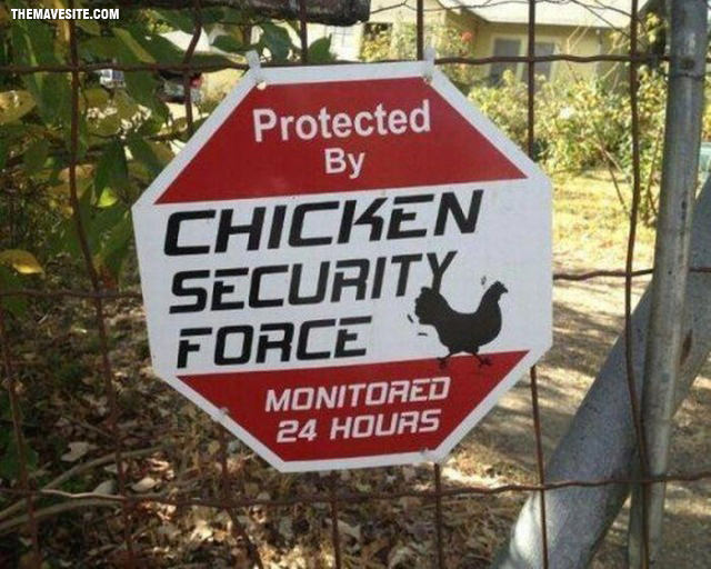 ChickenSecurity.jpg
