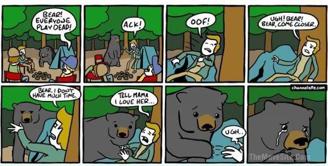 PoorBear.jpg