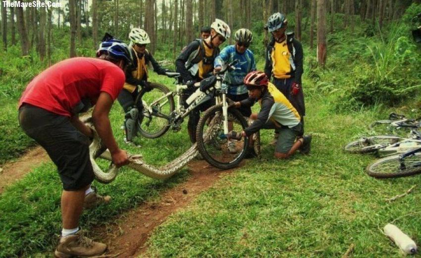 SnakeAccident.jpg
