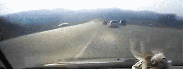 bz5sa3D.gif