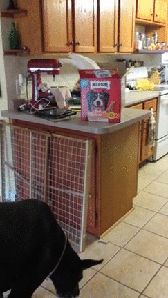 lFgNPnP.gif