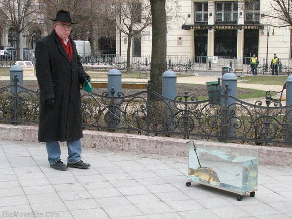 JustWalkingTheFish.jpg