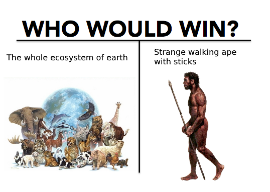OwWxgsf.png
