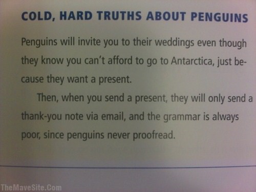 ThoseDamnPenguins.jpg