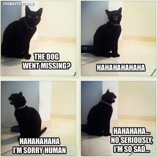 TheDogWentMissing.jpg