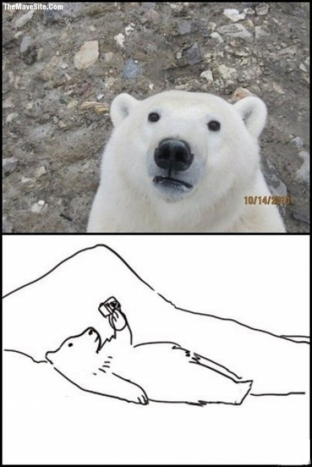 IcebearSelfshot.jpg