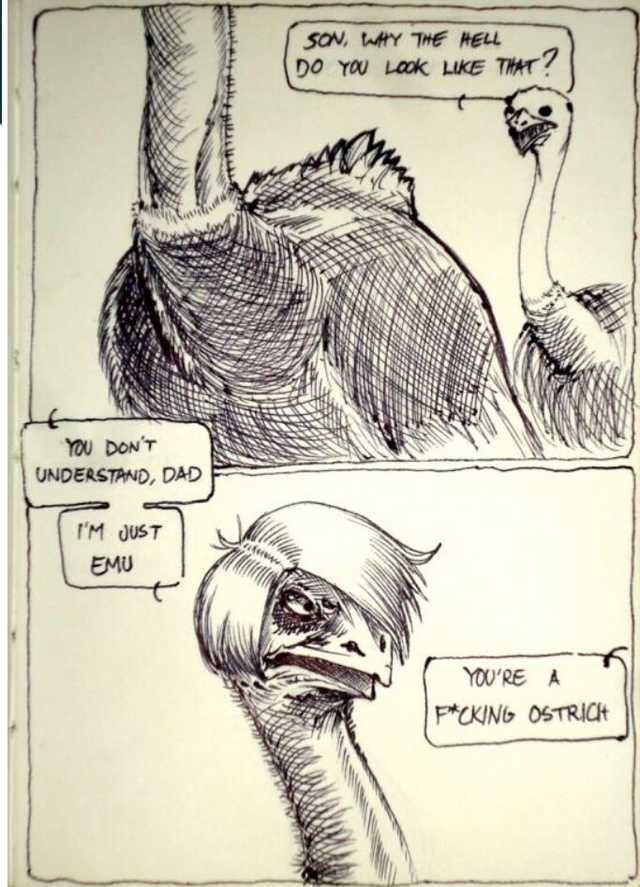 odKErha.jpg