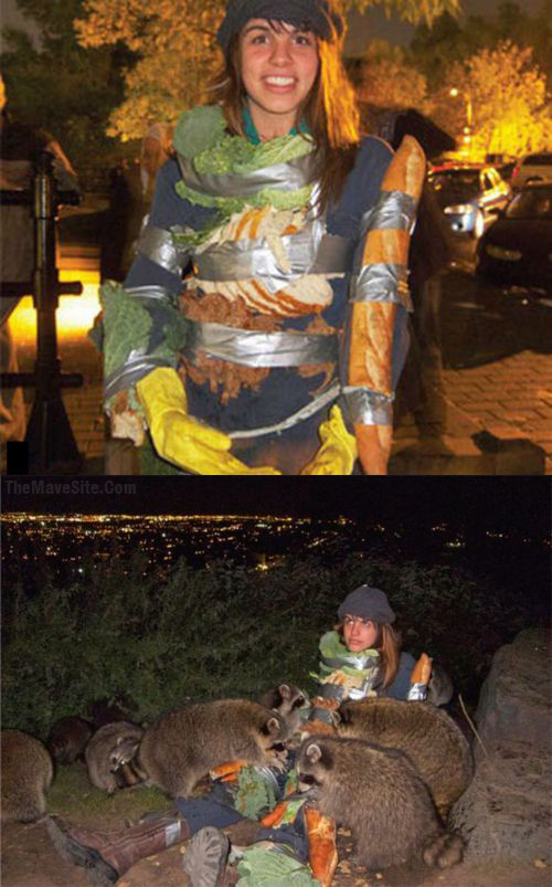 FeedingRacoons.png