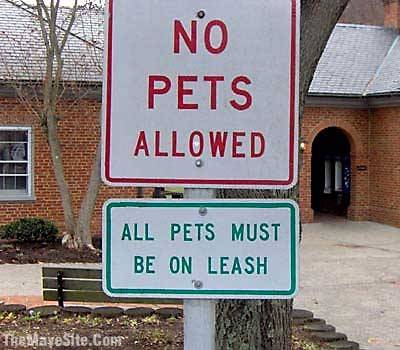 FunnyStreetSigns%20(47).jpg