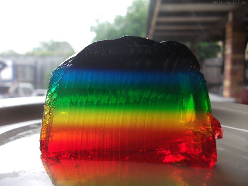 RainbowJelly.jpg