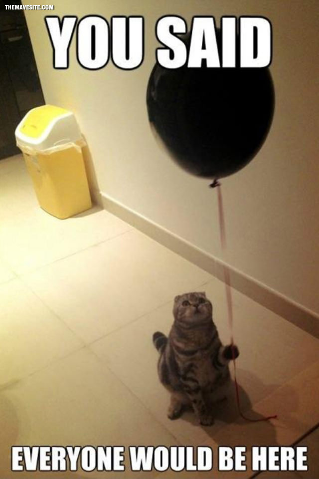 TheSaddestPictureOnTheInternet.jpg