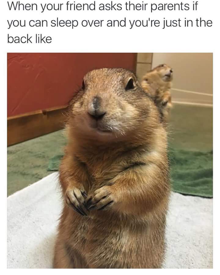 dGggbRx.jpg