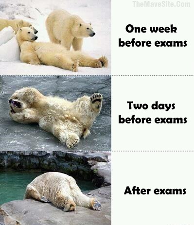 Exams.jpg