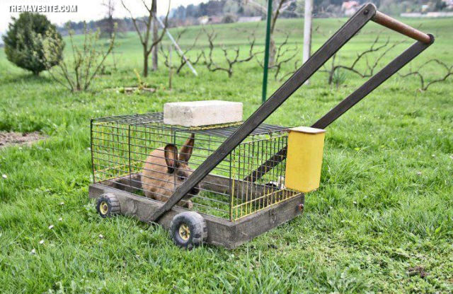 BudgetLawnMower.jpg