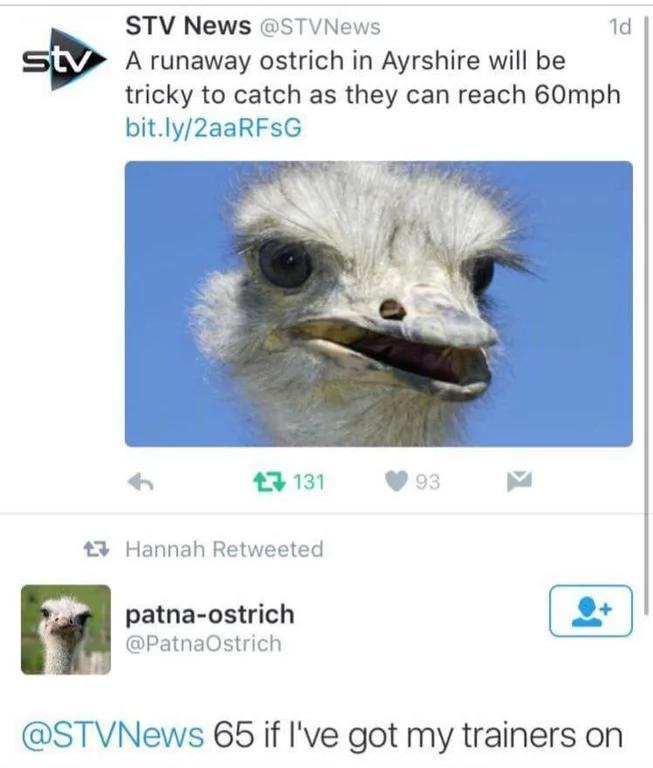 PyUdFIX.jpeg