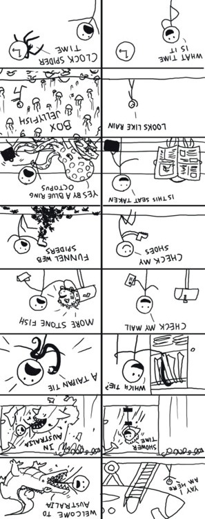 iCtUZ.jpg