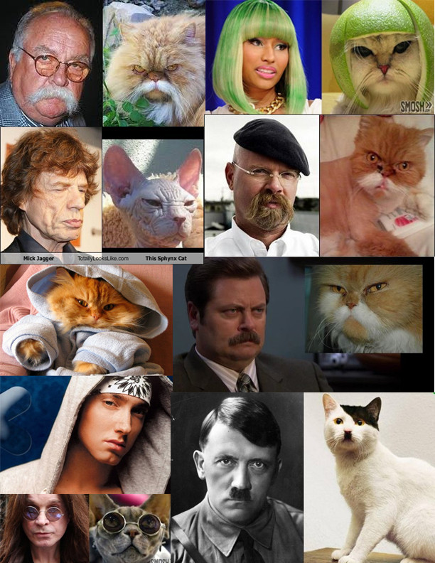 LHI1jU2.jpg