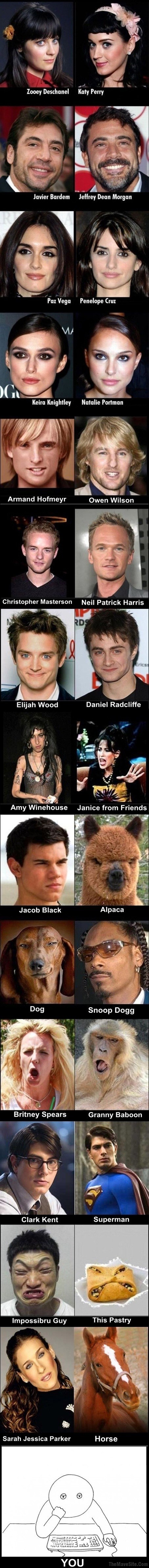 CelebrityLookalikes.jpg