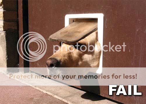Fail.jpg