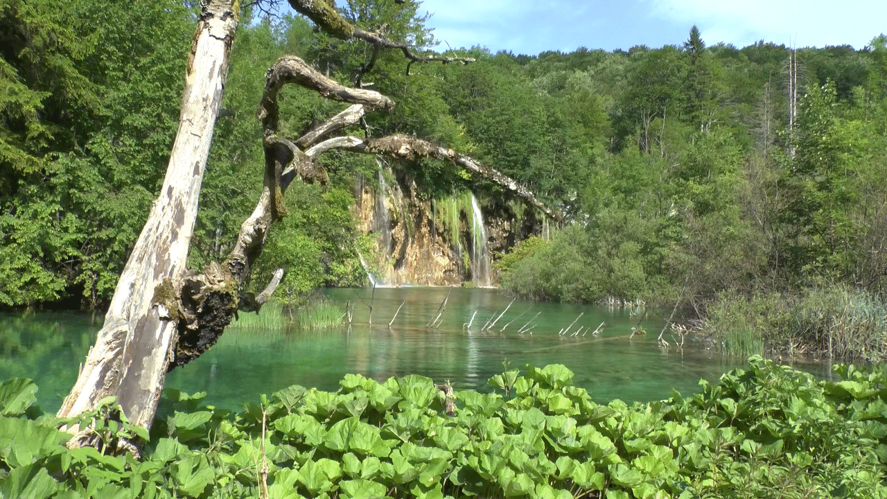 Q7TE5uk.gif