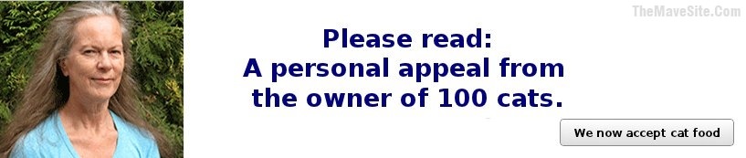 AWikipediaPersonalAppeal.jpg