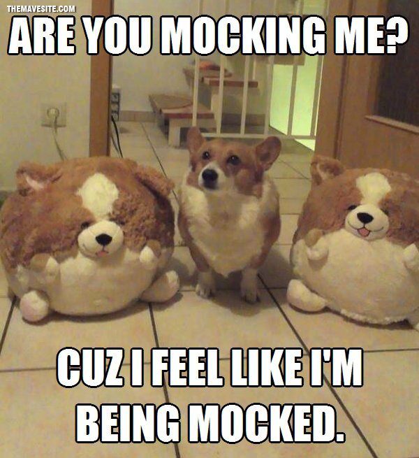 AreYouMockingMe.jpg