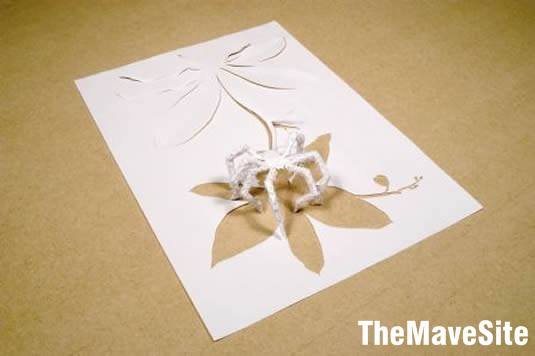 PaperArt%20(6).jpg