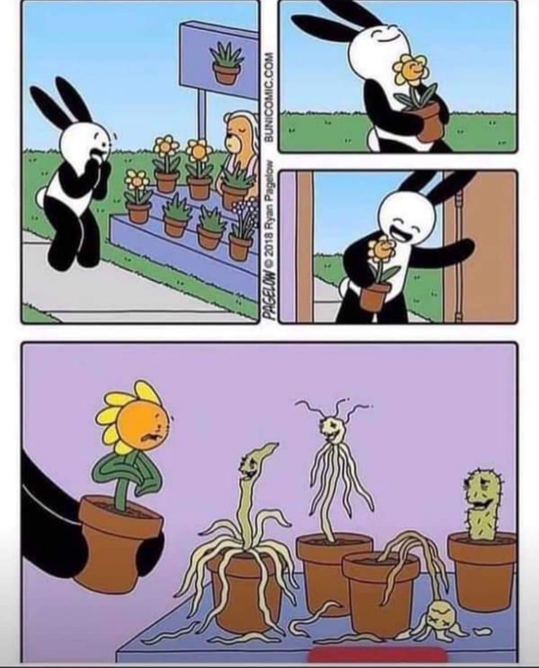 EoHYG0H.jpg